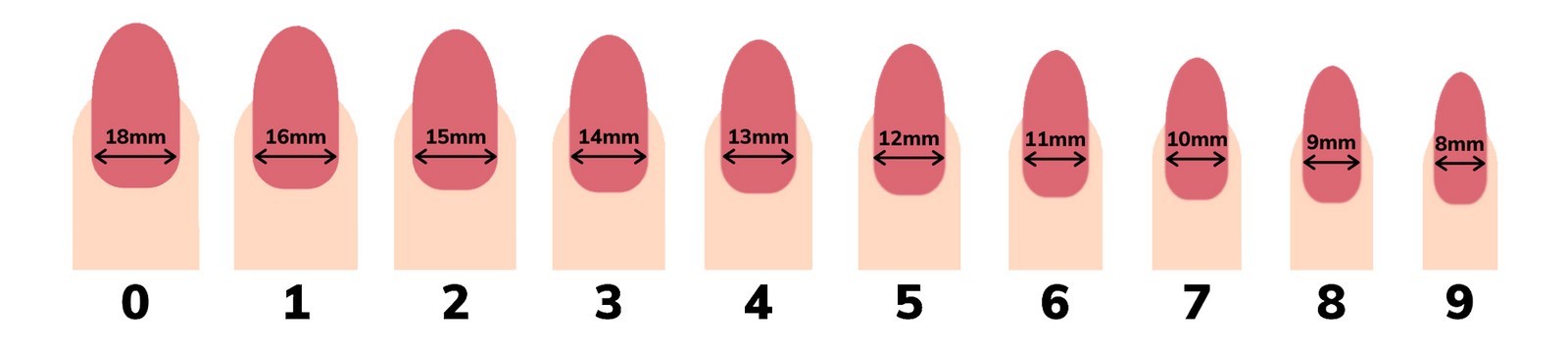 Press On Nail Sizing Chart Template